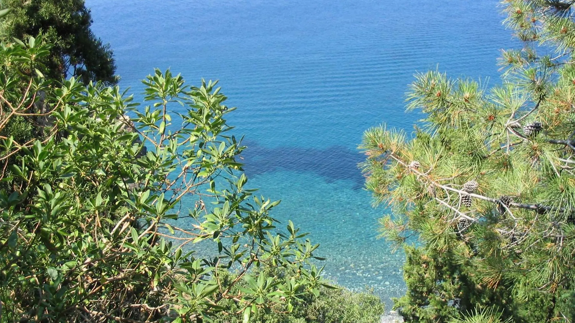 L' Elicriso Villa Marciana  Holiday home Marciana (Isola d'Elba)
